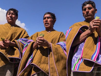 Convocando apus con hojas de coca en Perú