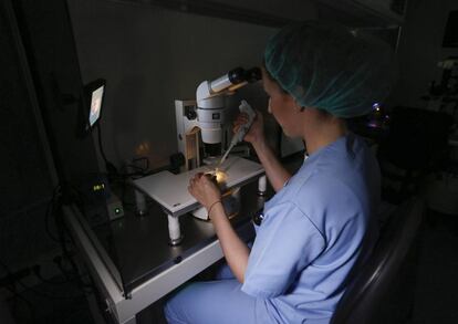 Laboratorio de ovodonación en la Clínica Tambre de Madrid