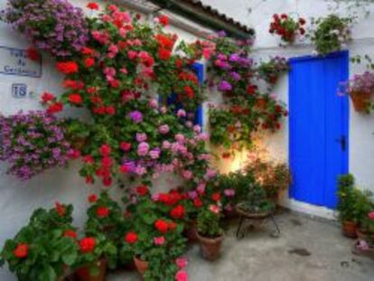 En primavera se pueden visitar los patios de C&oacute;rdoba, como el de la imagen.