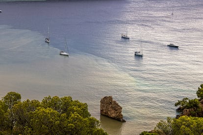 Playa de Camp de Mar, en Andratx (Mallorca), donde las intensas lluvias han vertido tierra al mar este miércoles.