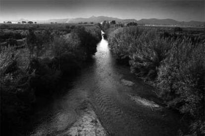 El río Júcar a su paso por el término de Alzira.