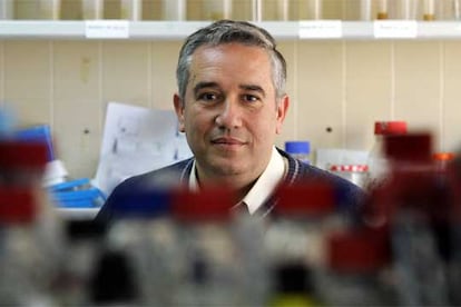 José Alcamí, responsable de la Unidad de Inmunopatología del Sida del Instituto Carlos III y coordinador de la red de investigación en sida.