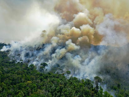 En una imagen de archivo de agosto 2020, una vista aérea del incendio en un área protegida del Amazonas, en el Estado de Pará, Brazil.