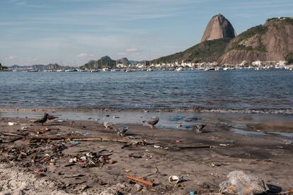 La basura sigue siendo una realidad en las aguas de la caleta Botafogo, en la Bahía de Guanabara, donde se realizaron varios eventos deportivos durante los Juegos Olímpicos.