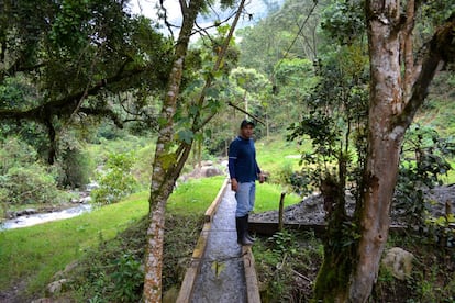 Pedro Pérez ha pasado de luchar en el Ejército contra la guerrilla en Caquetá, una de las zonas más calientes, a criar truchas en un antiguo territorio de las FARC.
