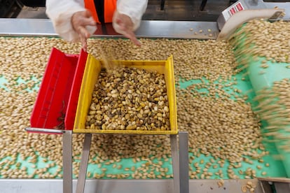 Los pistachos se clasifican a mano en la planta de Wonderful Pistachios & Almonds en California.
