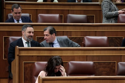 El líder de Vox Santiago Abascal (a la izquierda) conversa con el también diputado de Vox Pedro Fernández Hernández durante el pleno del Congreso de los Diputados del 29 de febrero.