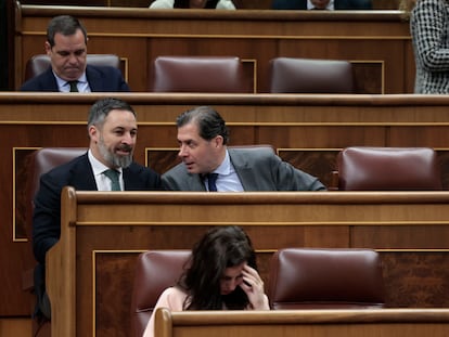 El líder de Vox Santiago Abascal (a la izquierda) conversa con el también diputado de Vox Pedro Fernández Hernández durante el pleno del Congreso de los Diputados del 29 de febrero.