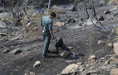 Incendio en Robledo de Chavela de 2012.