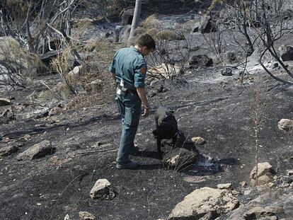 Incendio en Robledo de Chavela de 2012.