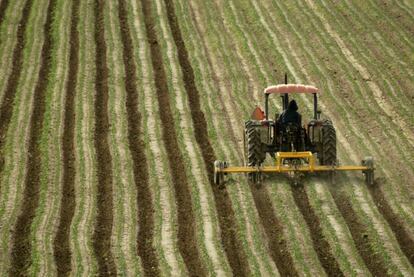 Un tractor en un campo de cultivo cerca de Greenfield, California, en el a&ntilde;o 2002 
 Associated Press