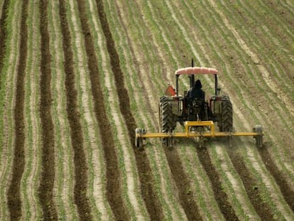 Un tractor en un campo de cultivo cerca de Greenfield, California, en el año 2002
Associated Press