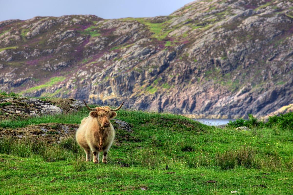 En ruta por la North Coast 500, la Escocia más auténtica