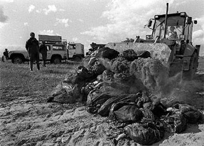 Trabajadores de la Junta de Andalucía, con sacos de peces y cangrejos muertos por el vertido de 1998.