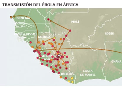 Quando o ebola saiu da floresta