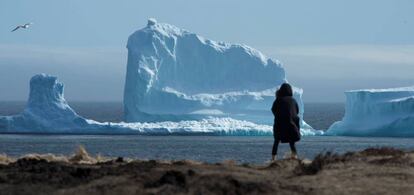 Una chica en la costa en la que apareció el iceberg, la semana pasada.