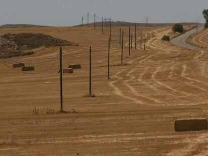 La UE quiere reducir ayudas al cereal. En la imagen, un campo segado y con pacas de paja.