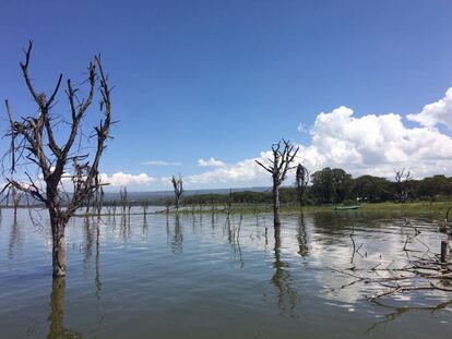 El lago Naivasha, en Kenia.