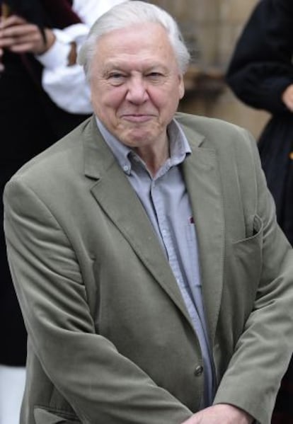 David Attenborough, en una imagen de archivo.