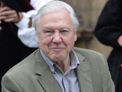 David Attenborough, en una imagen de archivo.