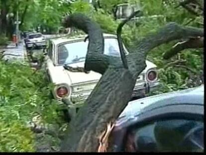 Mueren dos personas en Argentina por el temporal viento