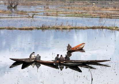 Varios pescadores faenan en el lago Dal en Srinagar, la capital de verano de la Cachemira india, este lunes.