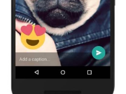 Imagen del editor de im&aacute;genes de WhatsApp.