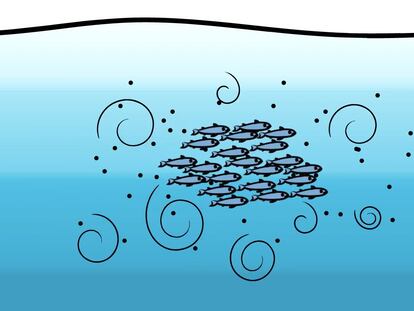 Ilustración realizada por el equipo de investigación que muestra los remolinos creados por las anchoas.