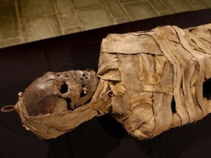 Una imagen de la polémica momia del Museo Darder.