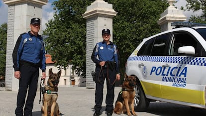 Agentes de la Sección Canina de la Policía Municipal con sus perros.