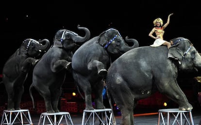 Actuaci&oacute;n del circo Ringling en 2010 en Nueva York, EE UU.