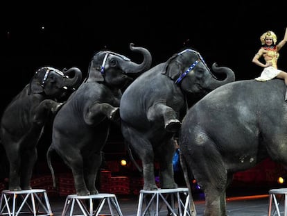 The Ringling circus in New York, 2010.