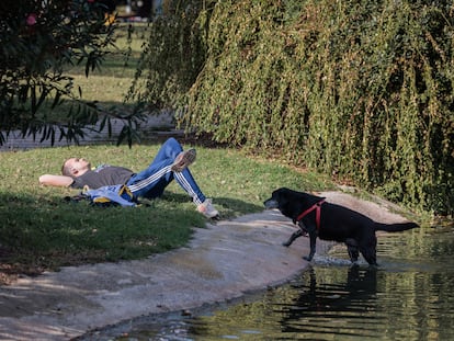 Un hombre descansa al sol en manga corta en el parque del antiguo cauce del río Túria, este sábado en Valencia.