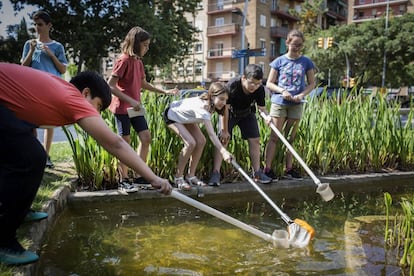 Alumnes de l'IES l'Alzina durant l'activitat de caça de larves de mosquit.