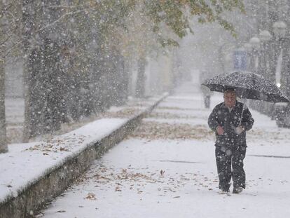 Un hombre camina por la nieve en mitad del parque del Prado de Vitoria.