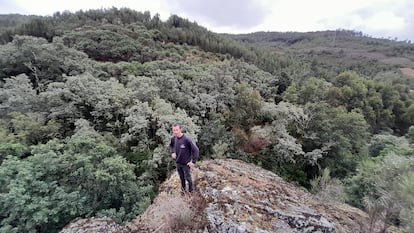 Nélson Gomes, que preside la Asociación Unidos en Defensa de Covas do Barroso, en el bosque donde se proyecta una mina de litio a cielo abierto.