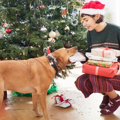 Una chica dándole un regalo de navidad a su perro.