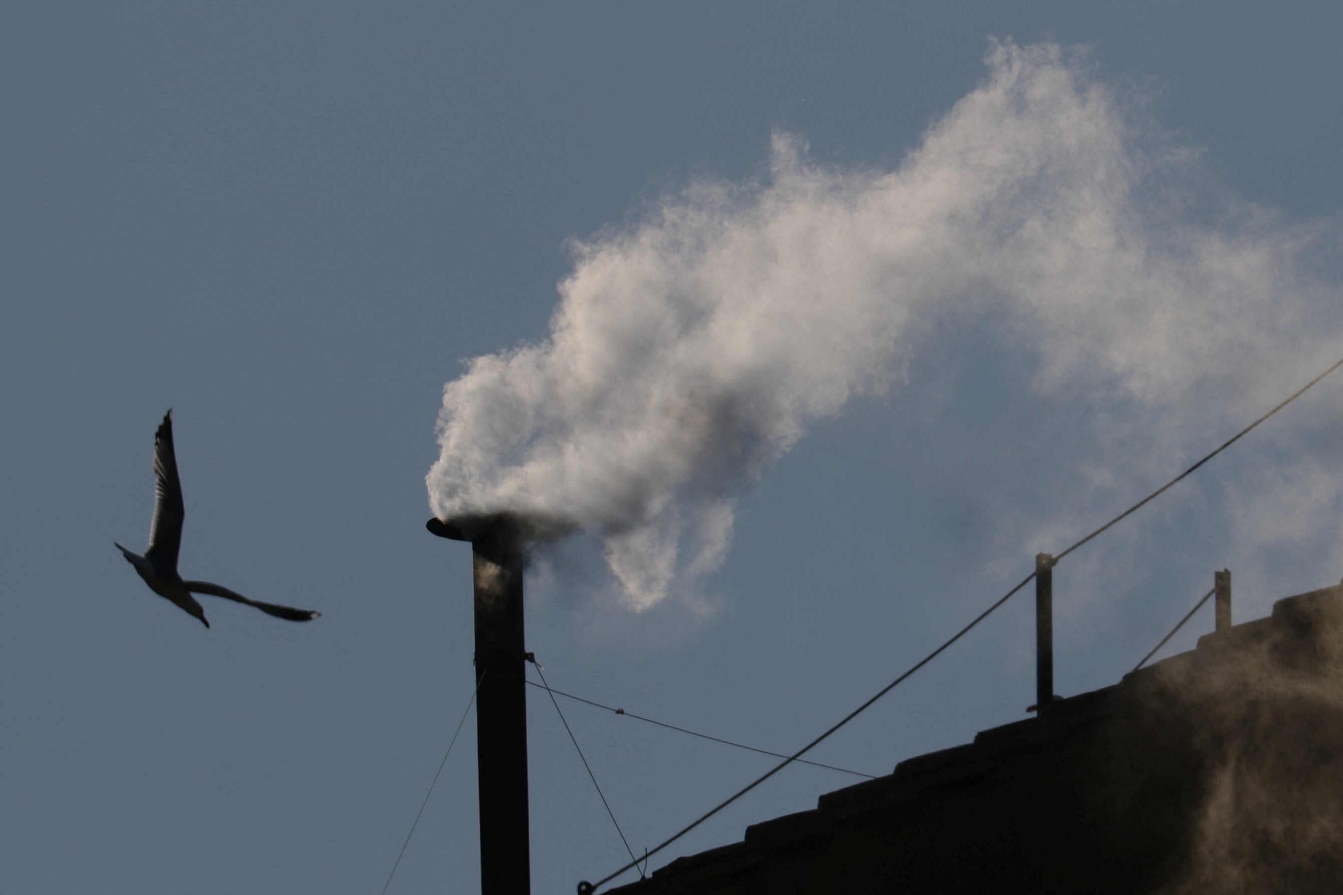 La elección del nuevo Papa, en imágenes 