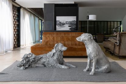 "Perros (Bruno e Tre)", de Chiara Camoni, en el interior de la Casa Gomis, en el marco de la Manifesta 15.