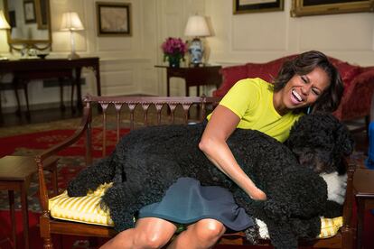 Michelle abraza a las mascotas de la familia, Sunny y Bo en la Casa Blanca en 2014.