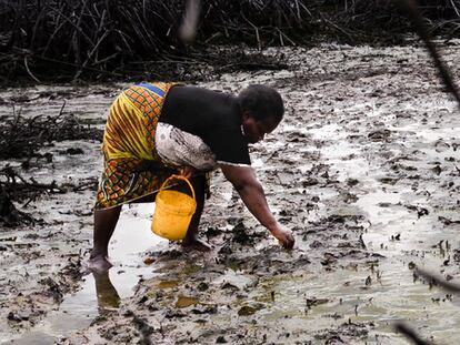 El que contamina paga, aunque se llame Shell