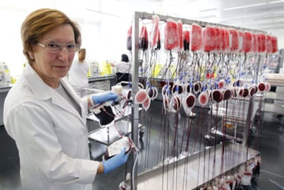 Luz Barbolla, directora del Centro de Transfusiones de la Comunidad de Madrid, en el área de procesamiento de la sangre.