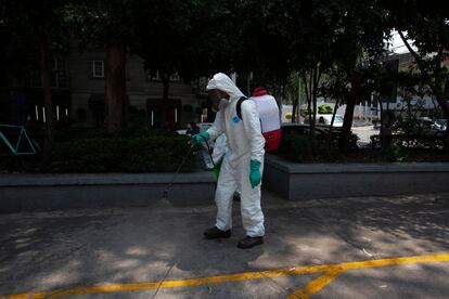 Un trabajador rocía   un químico conocido como fenol para sanitizar la avenida Campos Elíseos 
