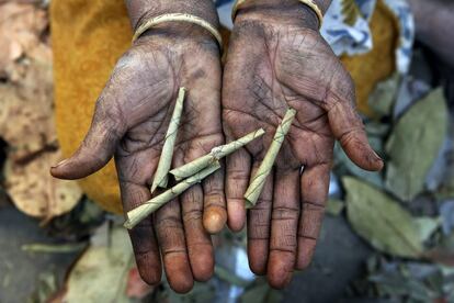 Una trabajadora sostiene en sus manos cuatro cigarrillos, recin liados, llamados 'bidis' en su casa en la ciudad de Rahatgarh (India).