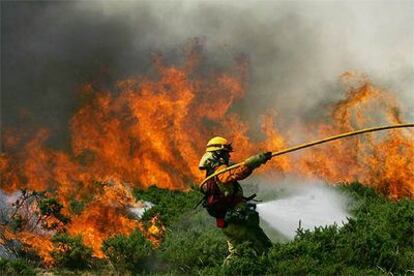 Un bombero intenta extinguir un incendio forestal en A Lama (Pontevedra).