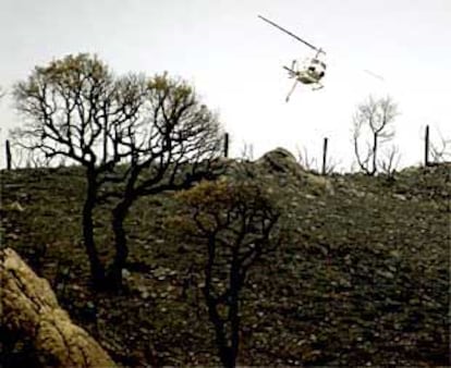 Un helicóptero sobrevolaba ayer la zona afectada por el incendio en Los Alcornocales.