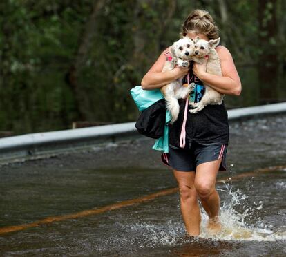 Lisa Shackleford abraza a sus mascotas mientras atraviesa una zona inundada por el desbordamiento del río Cape Fear en Burgaw, Carolina del Norte.