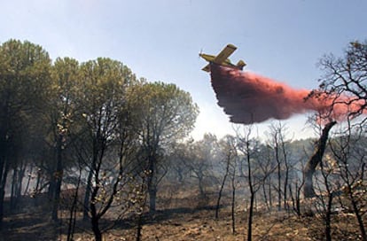 Un hidroavión participa en las labores de extinción del incendio de Valverde del Camino (Huelva).