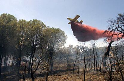 Un hidroavión participa en las labores de extinción del incendio de Valverde del Camino (Huelva).