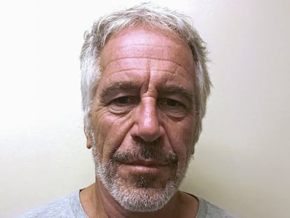 Jeffrey Epstein appears in a photo taken for the NY Division of Criminal Justice Services' sex offender registry.